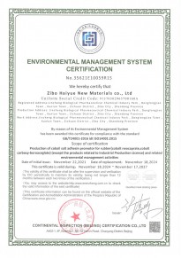 環(huán)境管理體系認證證書-英文